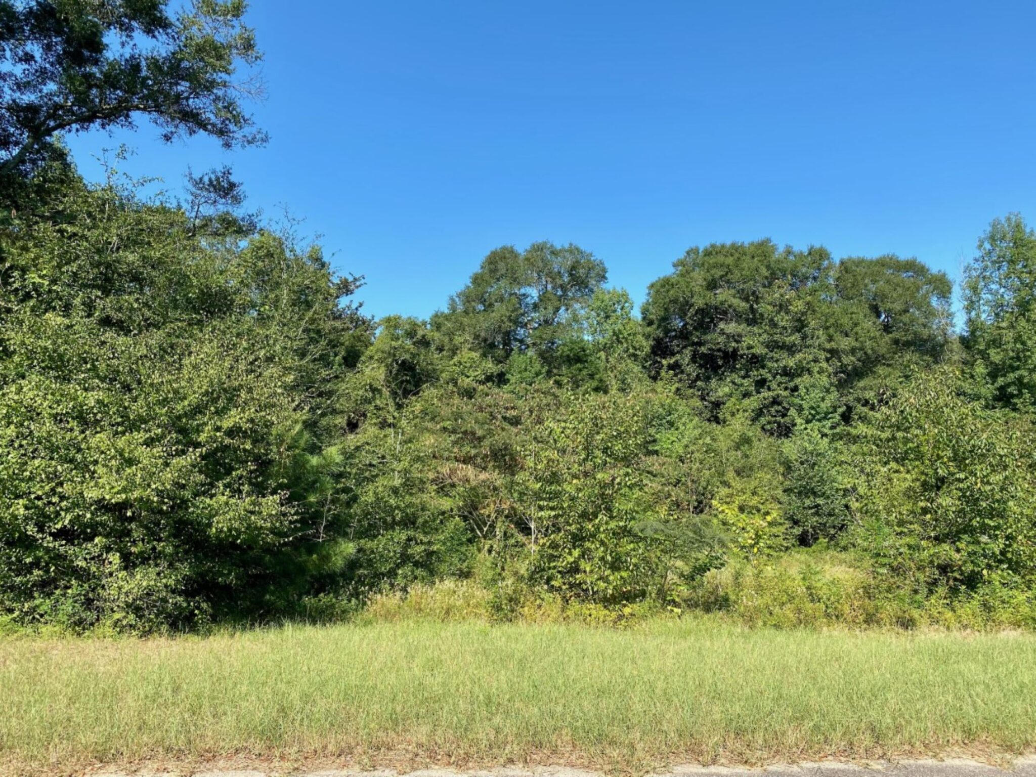 Wiregrass Home Team Dothan, Enterprise, Ozark, Wiregrass Real Estate