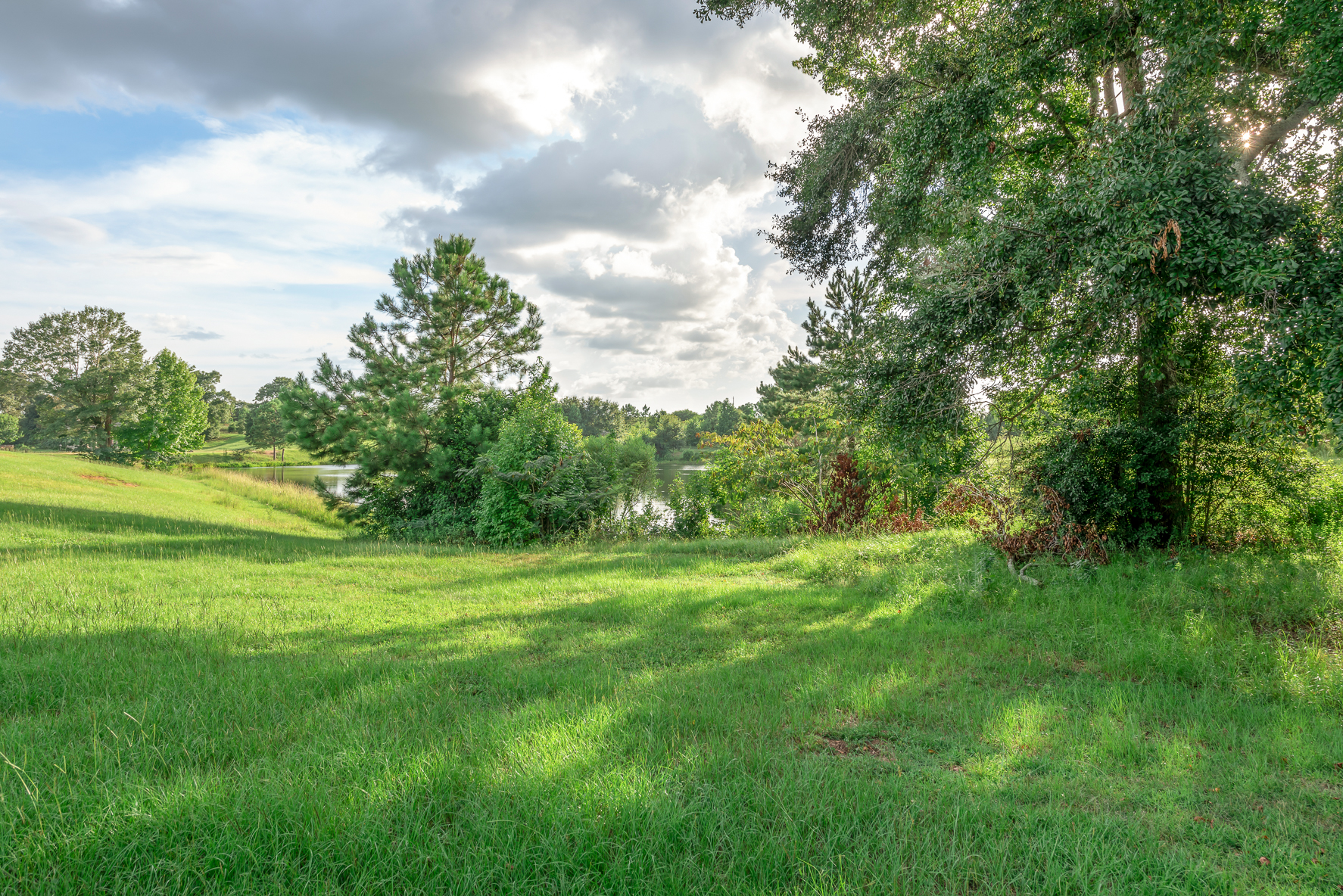 222 Weeping Willow-WHT-32