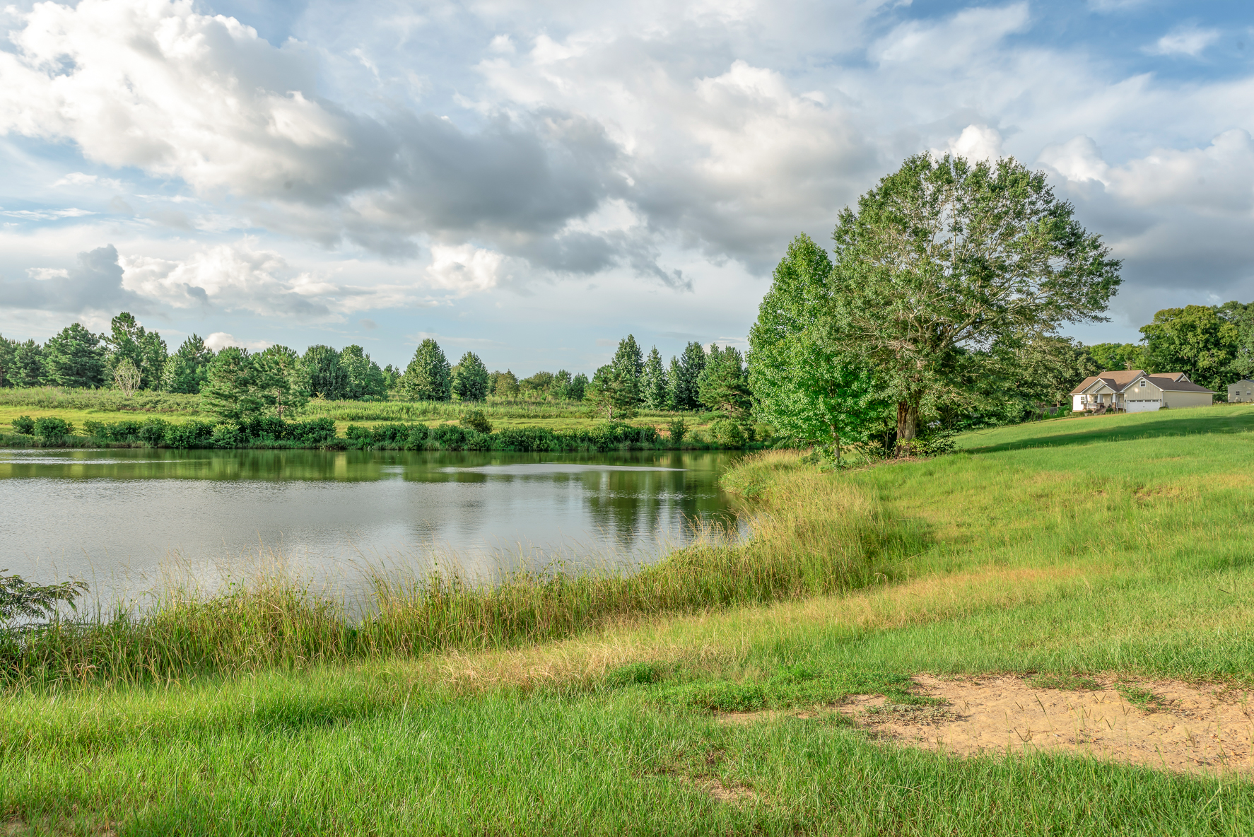 222 Weeping Willow-WHT-33