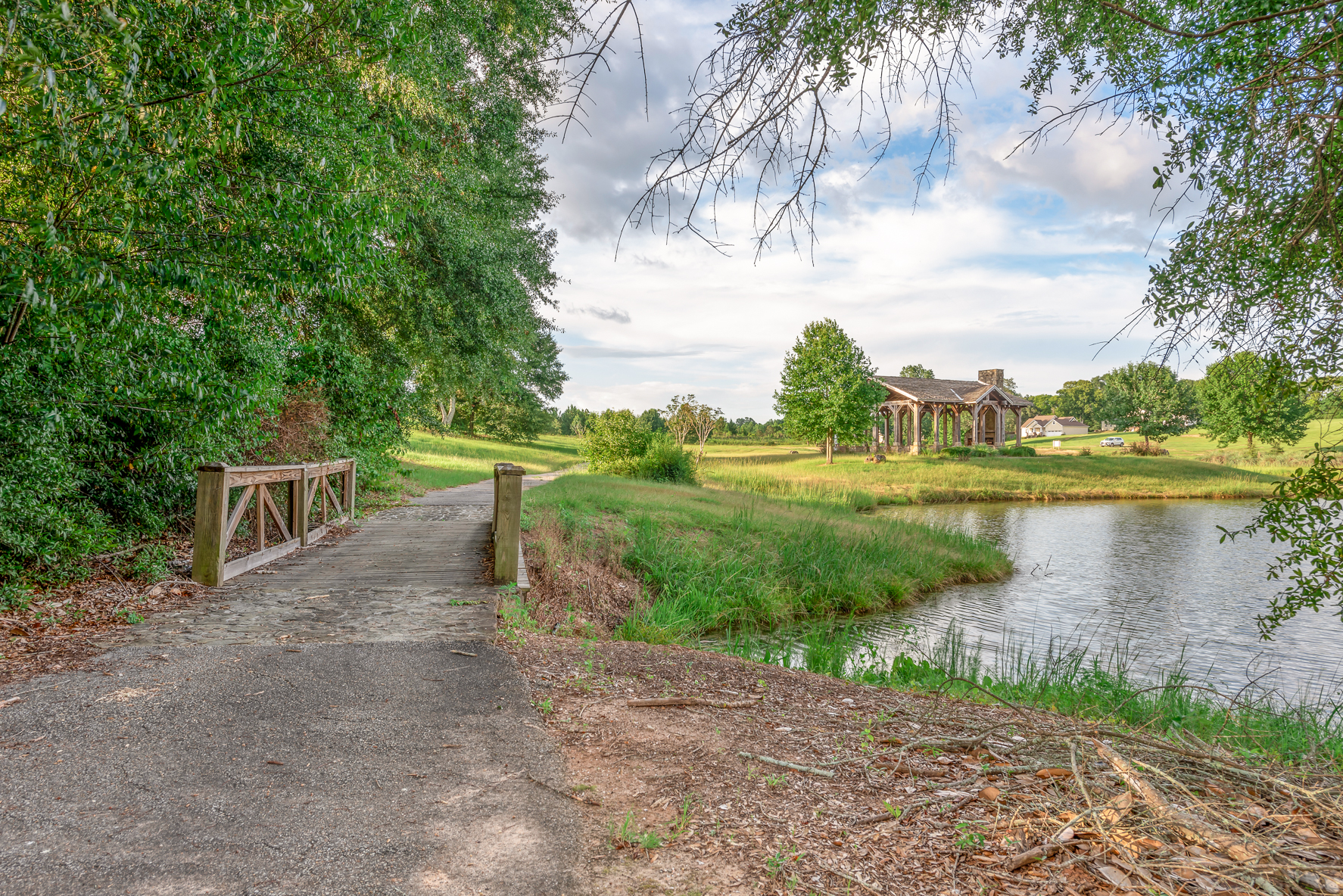 222 Weeping Willow-WHT-38