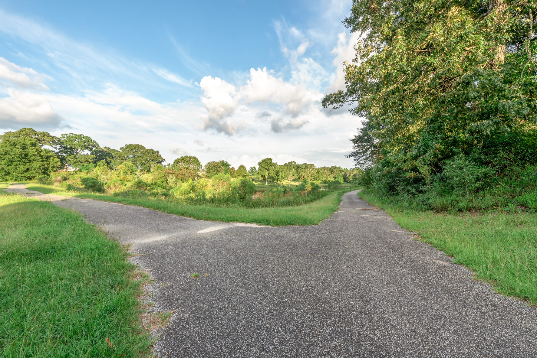 222 Weeping Willow-WHT-39