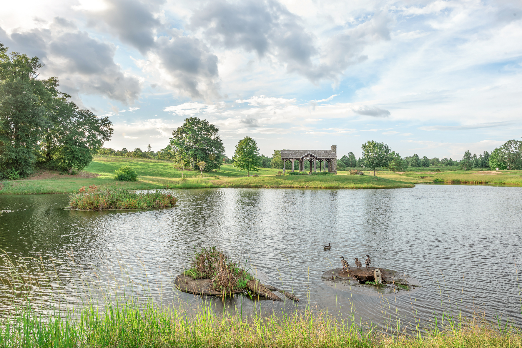 222 Weeping Willow-WHT-40