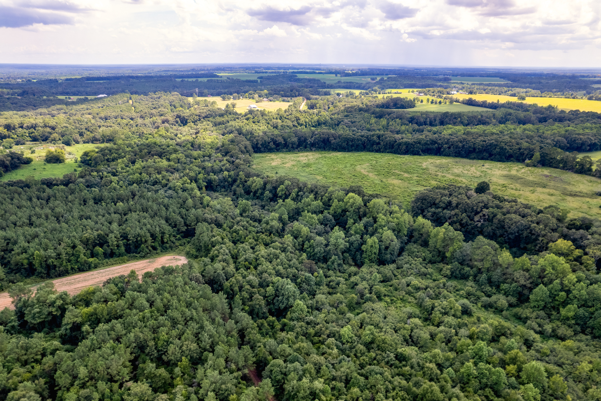 1293 CO RD 99-MLS-12