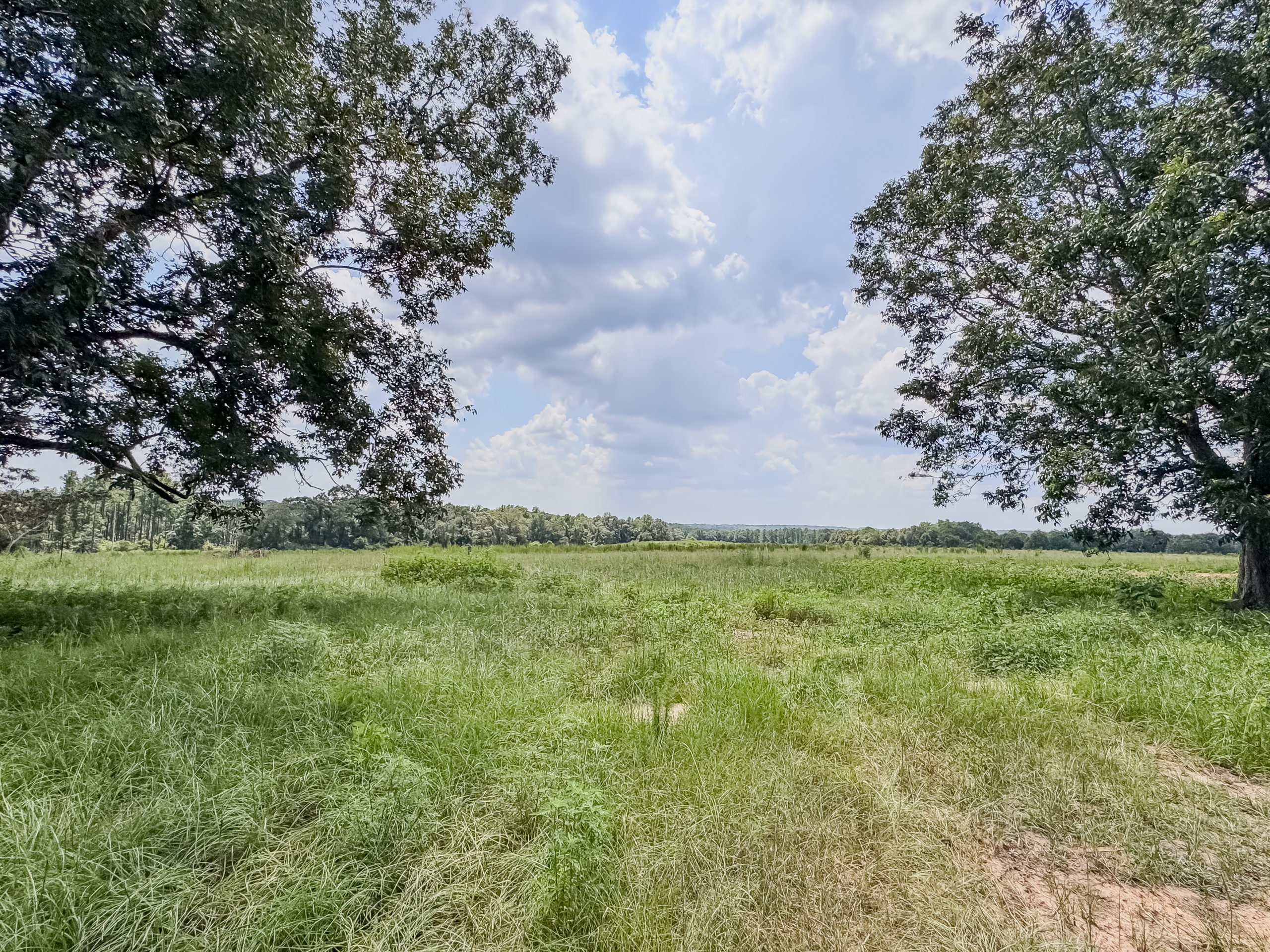 DOUBLE CREEK RD MLS-20