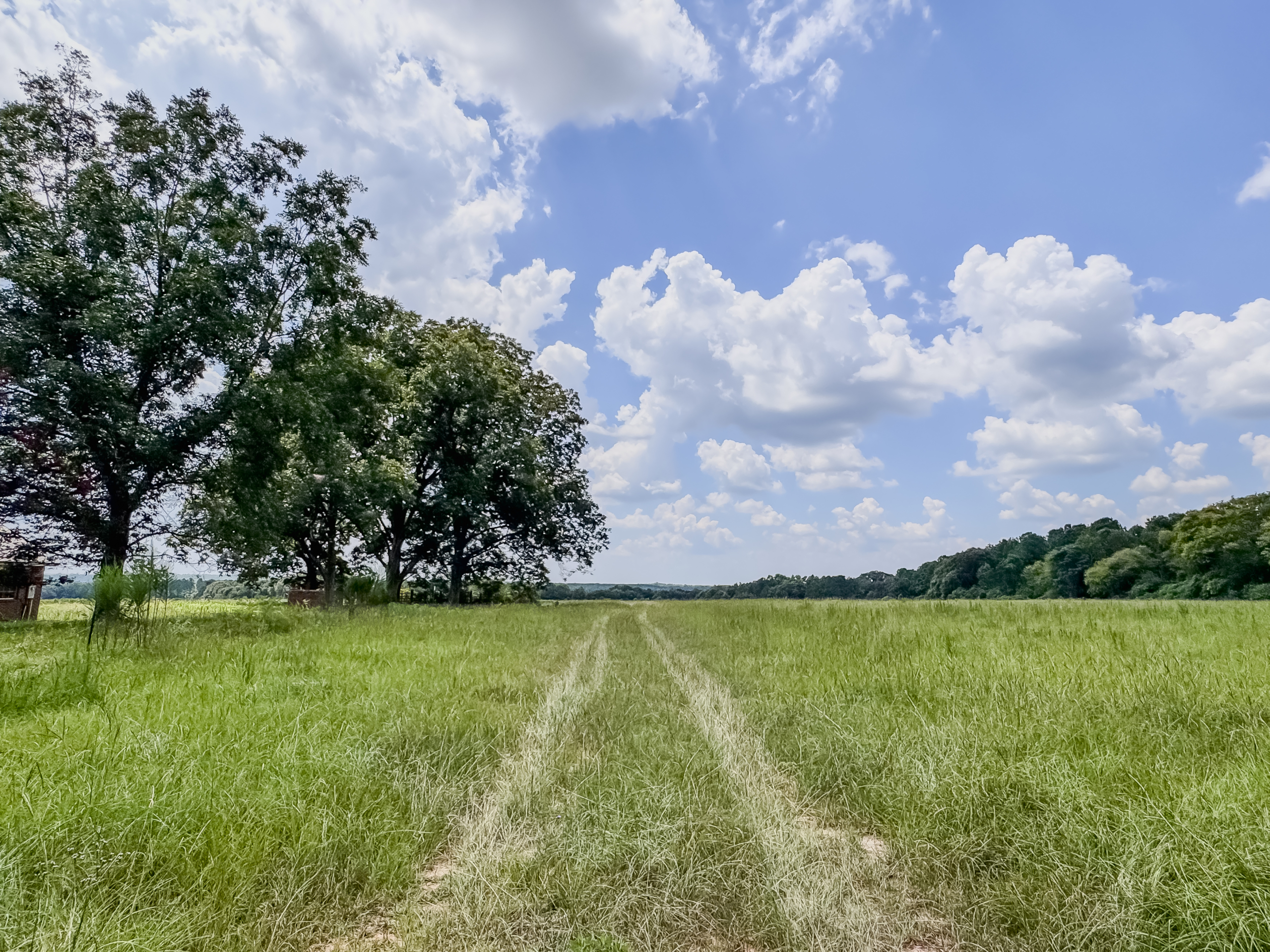 DOUBLE CREEK RD MLS-22