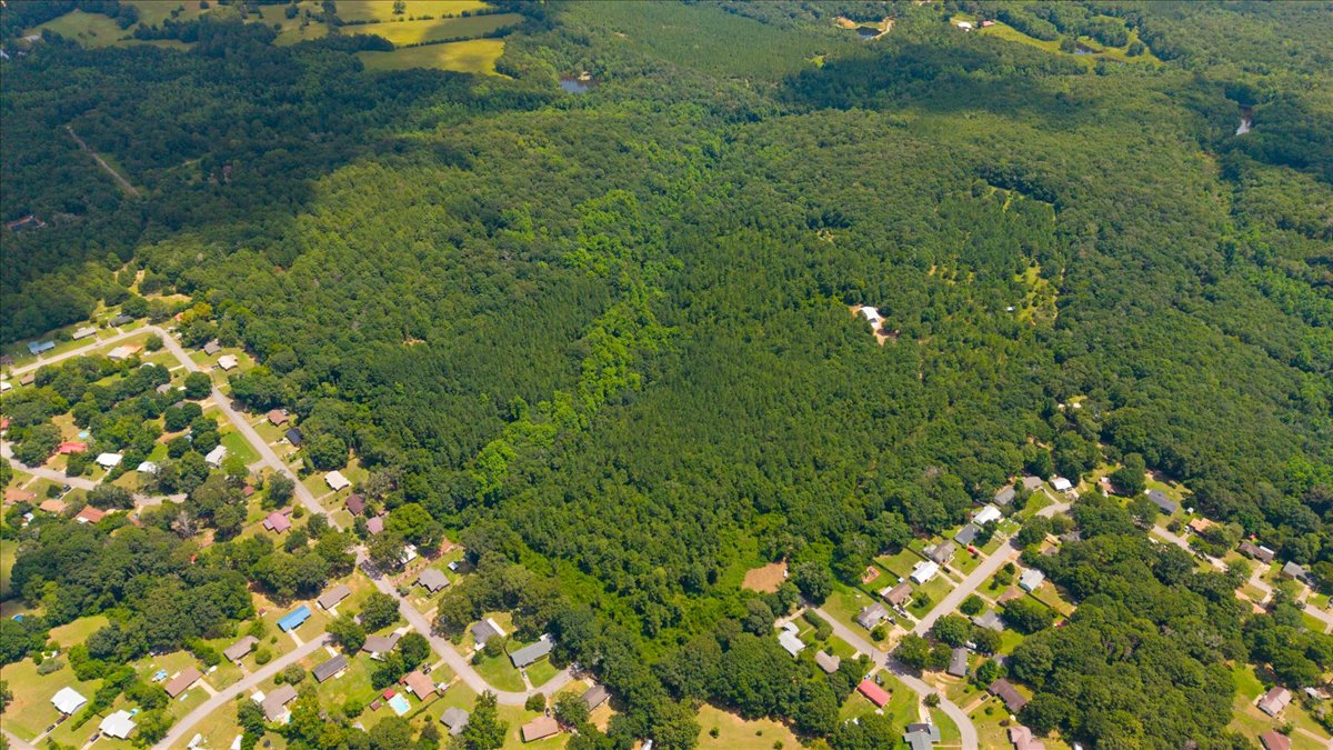 04-DJI_20260806115928_0175_D