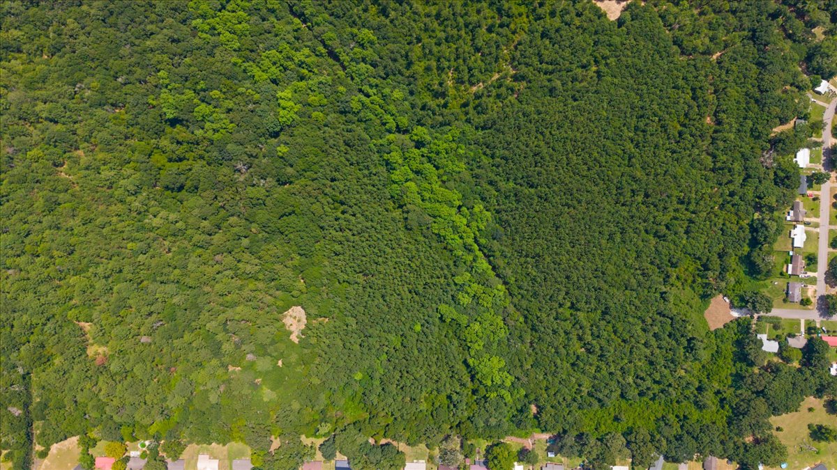 05-DJI_20260806120041_0178_D