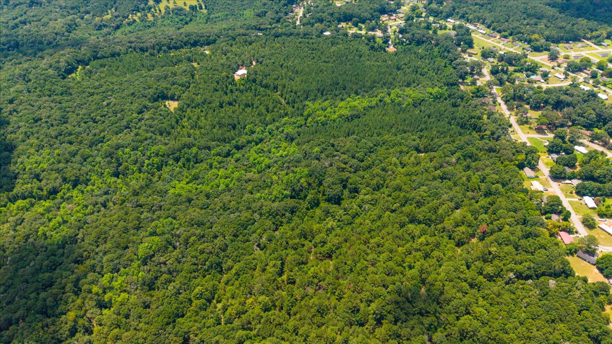 06-DJI_20260806120218_0182_D