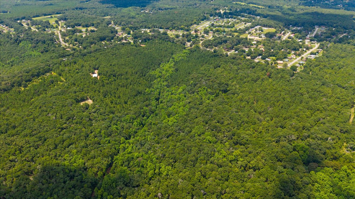07-DJI_20260806120355_0184_D