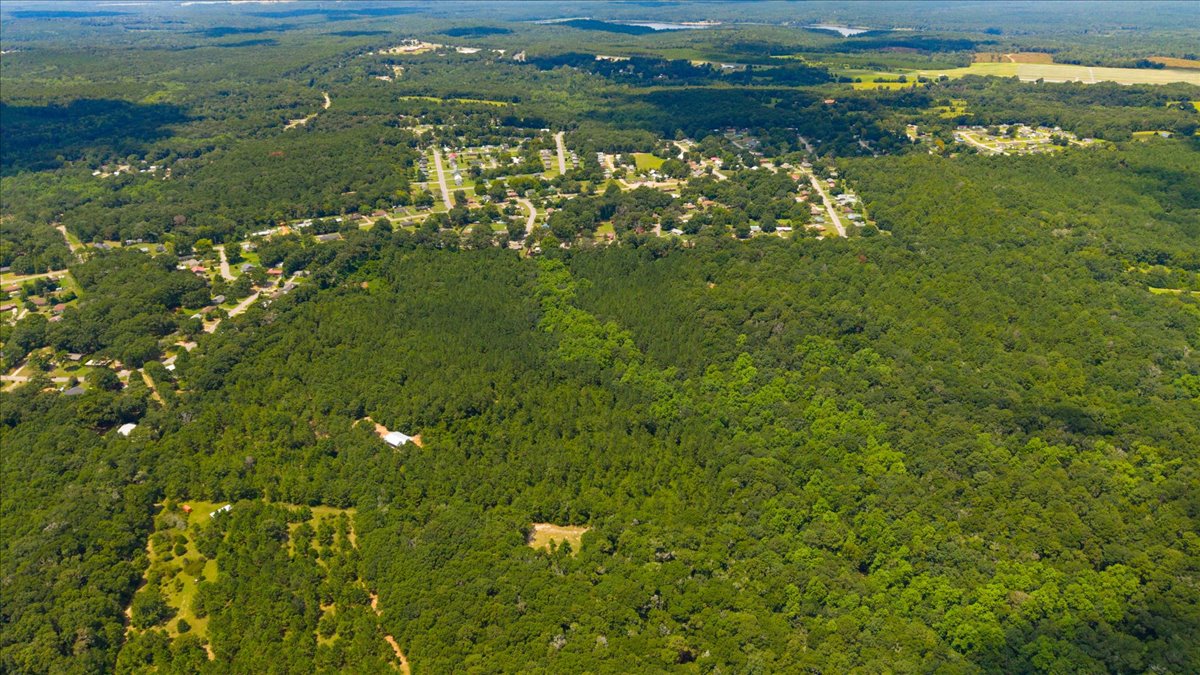 08-DJI_20260806120503_0187_D