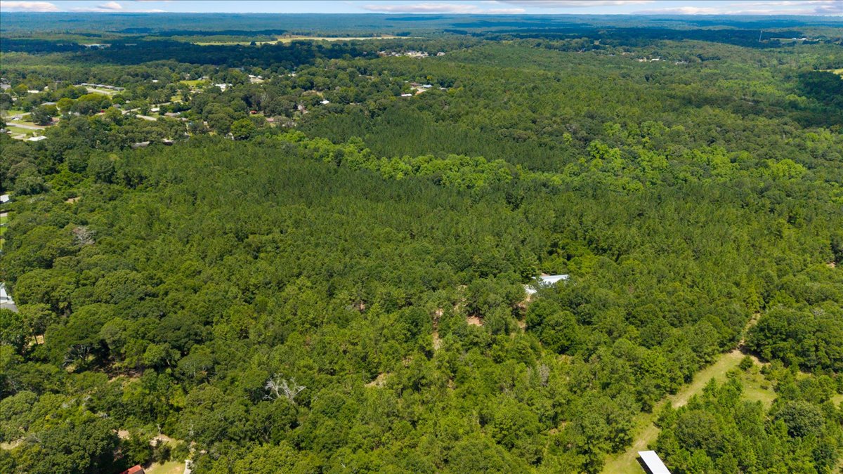 09-DJI_20260806120613_0191_D