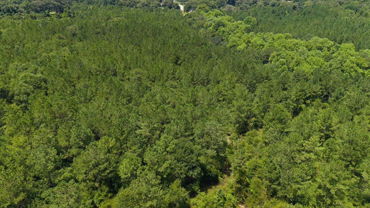 11-DJI_20260806120729_0196_D